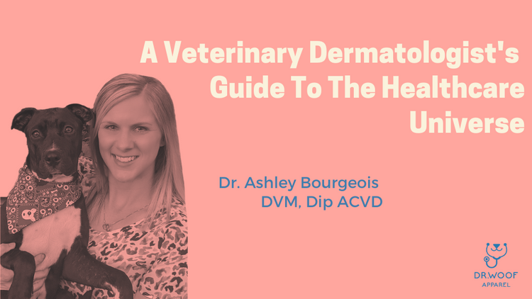 Ashley Bourgeois DVM Dip ACVD Vet Dermatologist
