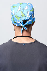 Dinosaurs Scrub Cap