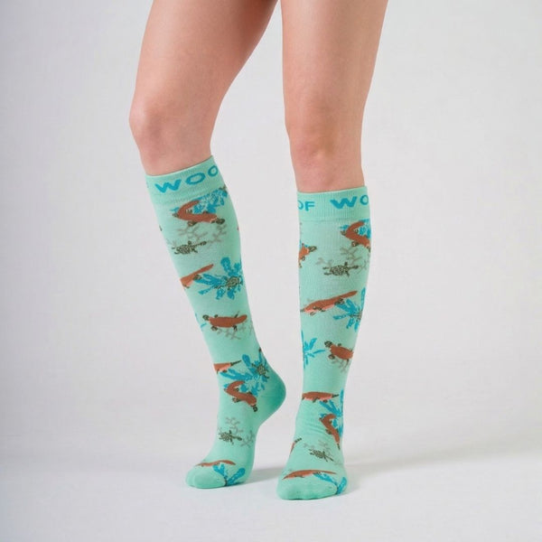 //www.drwoofapparel.com.au/cdn/shopifycloud/storefront/assets/no-image-2048-a2addb12_grande.gif