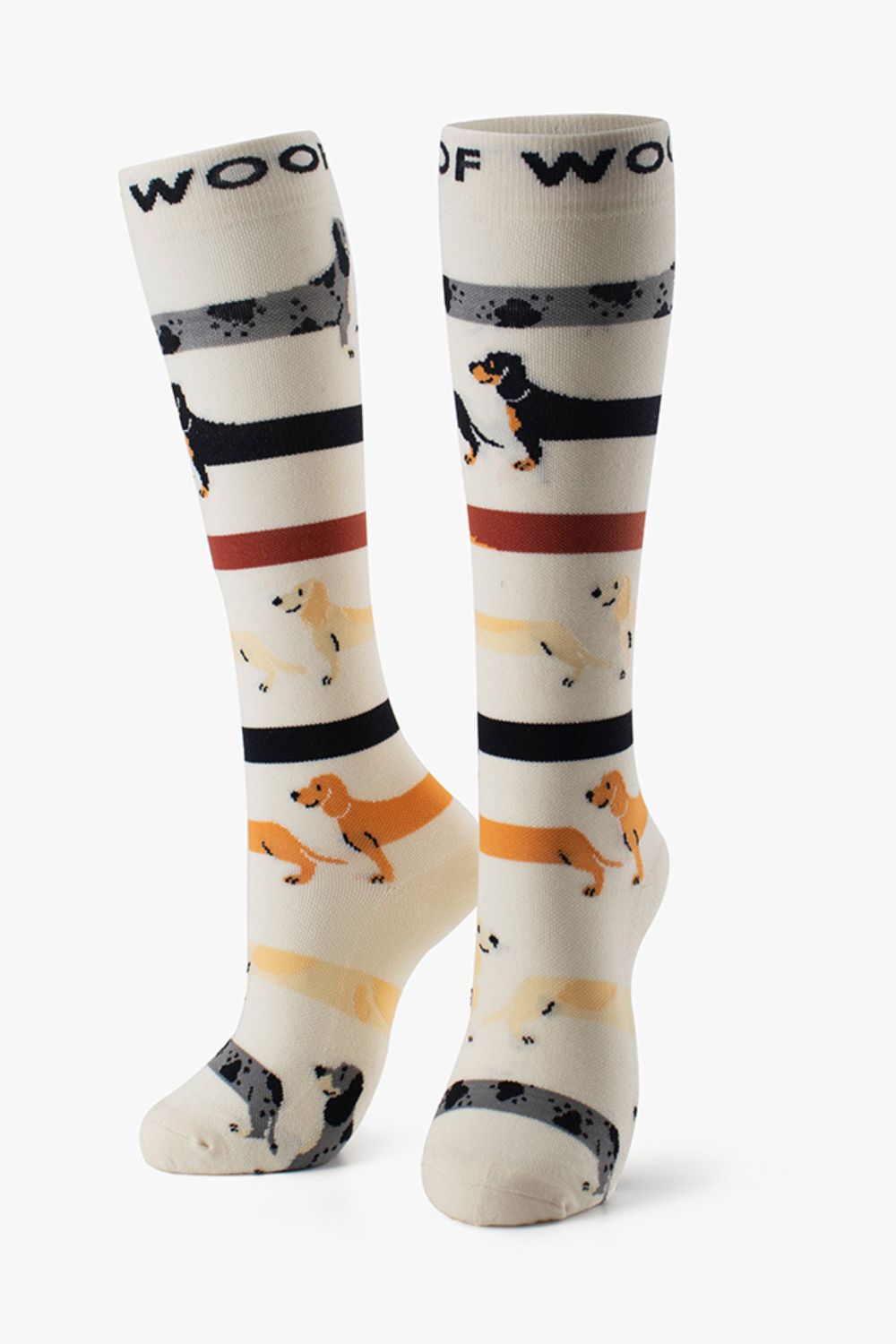 Cutest Creatures Bamboo Compression Socks 6 Pack