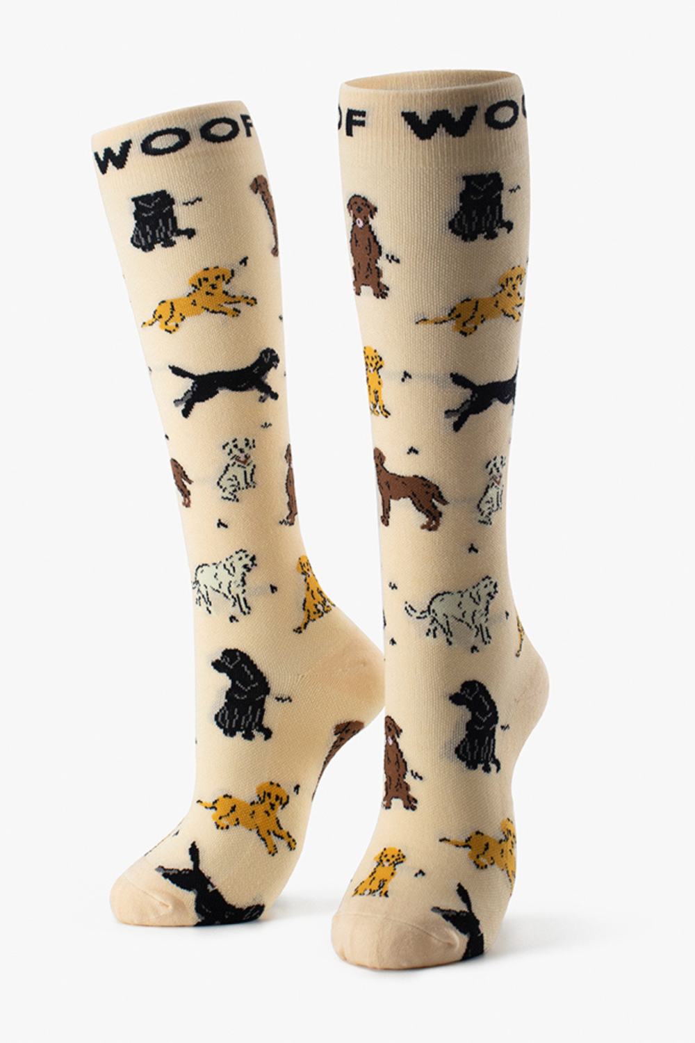 Cutest Creatures Bamboo Compression Socks 6 Pack